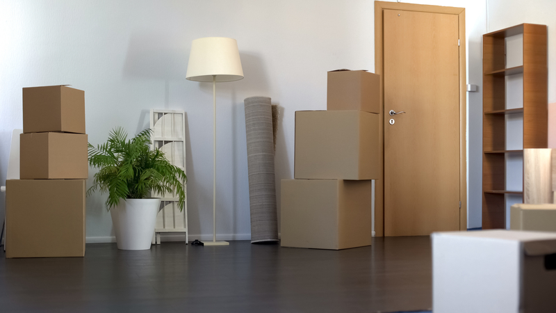 Apartment set with cardboard boxes, moving to new house, relocation service furniture